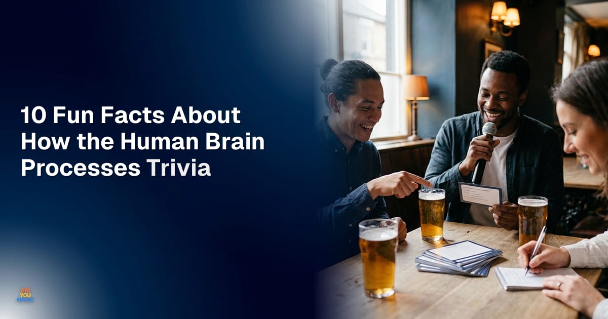 10 Fun Facts About How the Human Brain Processes Trivia — and What Every Host Can Learn From Them